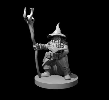 Dwarf Wizard with magic staff