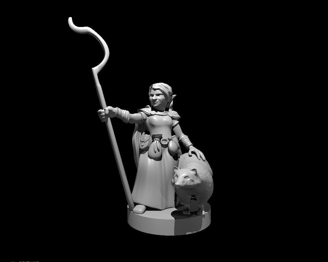 Gnome Female Druid