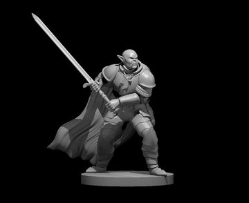 Half Orc Paladin