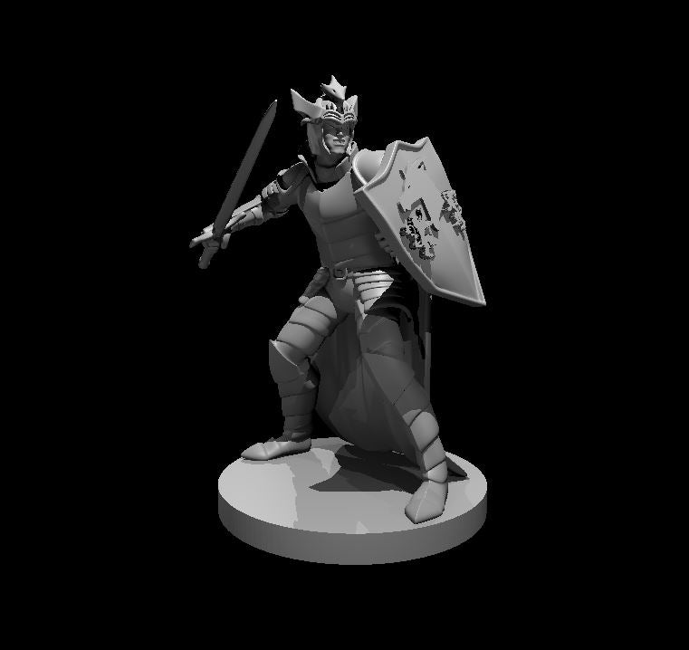 Human Male Paladin of Bahamut